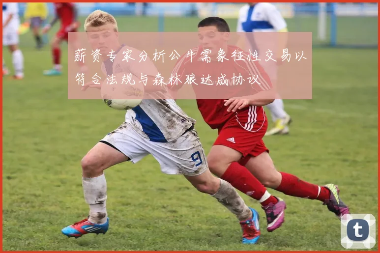 薪资专家分析公牛需象征性交易以符合法规与森林狼达成协议